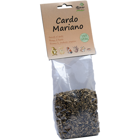 Semilla de Cardo Mariano