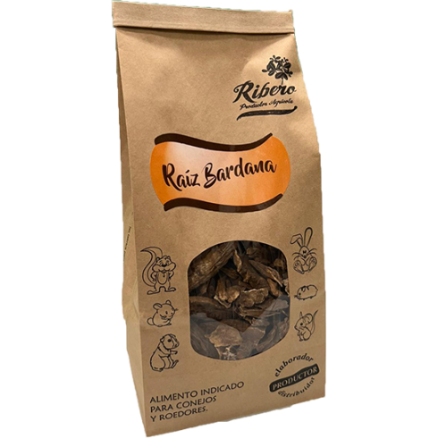 copy of Dandelion Root