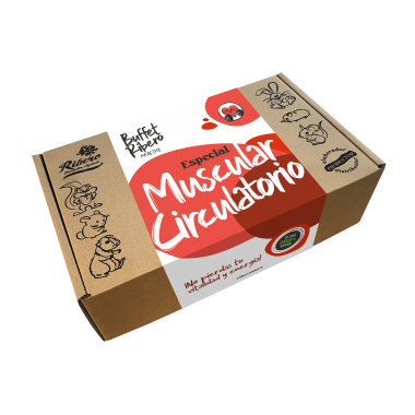 Buffet Ribero Healthy MUSCULO-CIRCULATOIRE