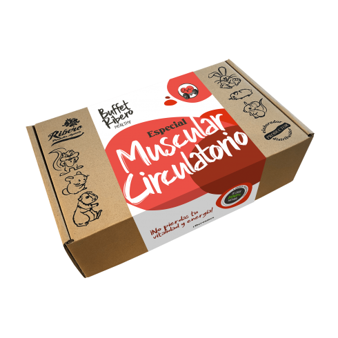 Buffet Ribero Healthy MUSCULAR-CIRCULATORY