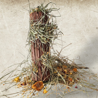 TRONCO RELLENO DE HENO