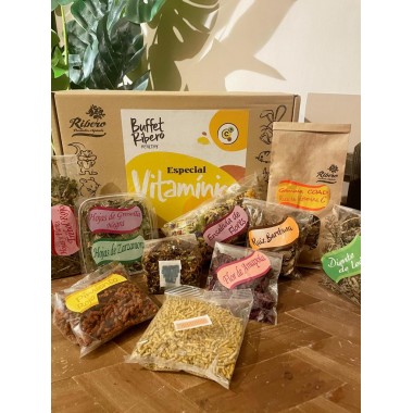 Healthy VITAMIN Buffet Ribero