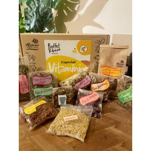 Healthy VITAMIN Buffet Ribero