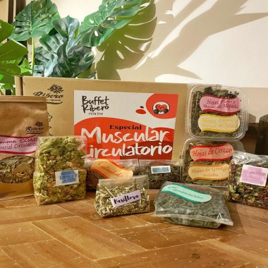 Buffet Ribero Healthy MUSCULO-CIRCULATOIRE