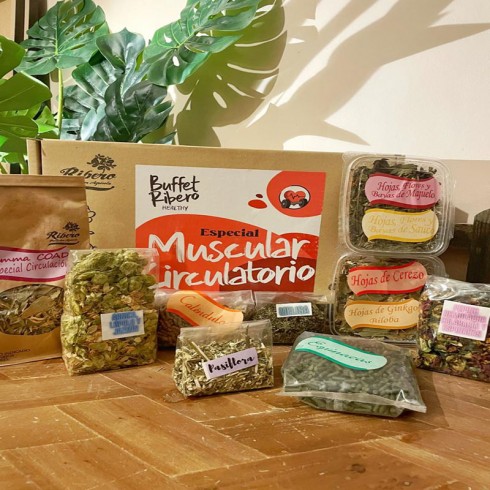 Buffet Ribero Healthy MUSCULAR-CIRCULATORY