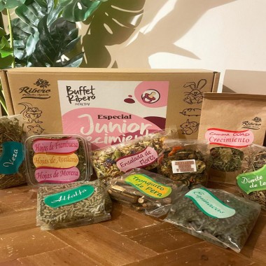 Buffet Ribero Healthy JUNIOR- CRESCIMENTO