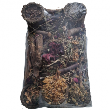 RAINFOREST: Conecta con la Naturaleza