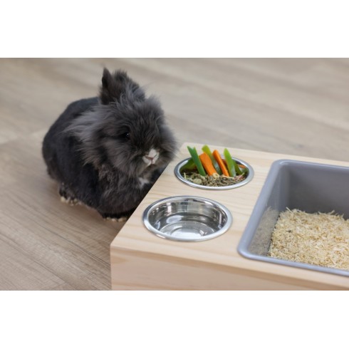 Estación de Alimentación y Área de Higiene para Conejos y Roedores