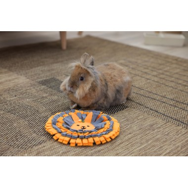 Alfombra Olfativa con Diseño de Conejito – Naranja y Gris Oscuro