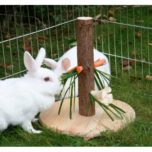 Nature Edible Tree for Rodents – Height 30 cm