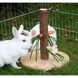 Arbre Comestible Nature pour Rongeurs – Hauteur 30 cm