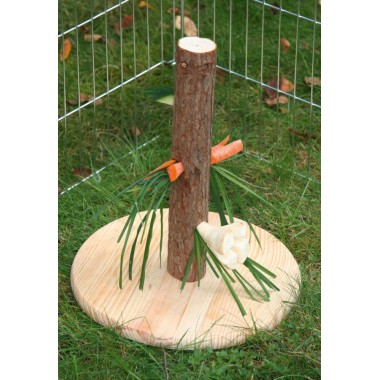 Nature Edible Tree for Rodents – Height 30 cm