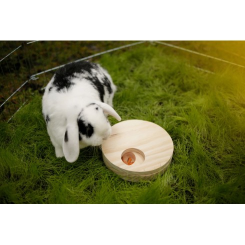 Rotating Disc for Rabbits and Rodents