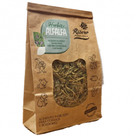 Alfalfa