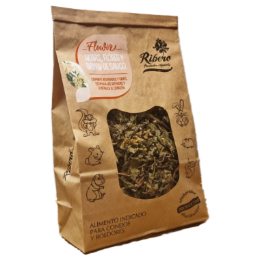 Elder Leaves, Flowers and Berries