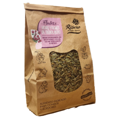 Red Clover Leaves and Flowers