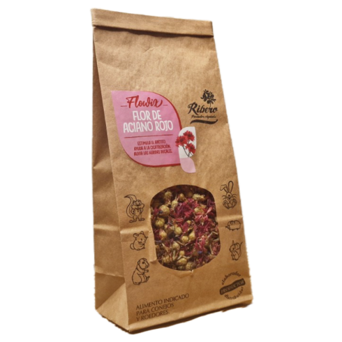 Red Cornflower Flowers