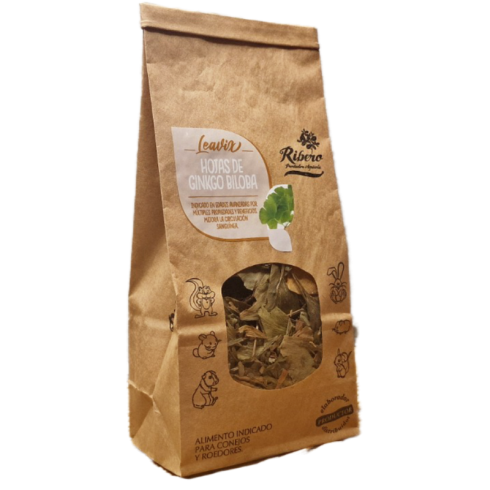 Hojas de Ginkgo Biloba