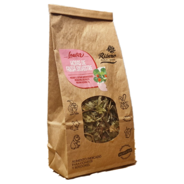 Hojas de Fresa Silvestre