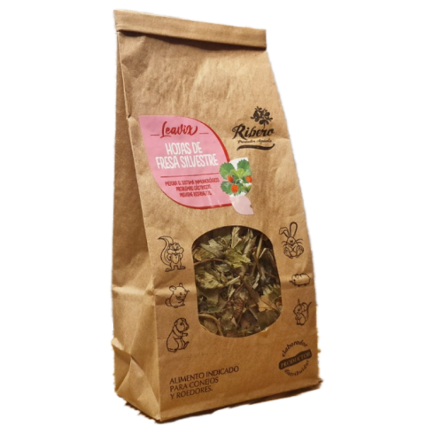 Hojas de Fresa Silvestre