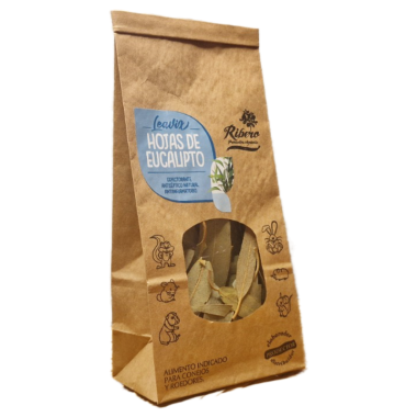 Feuilles d'eucalyptus