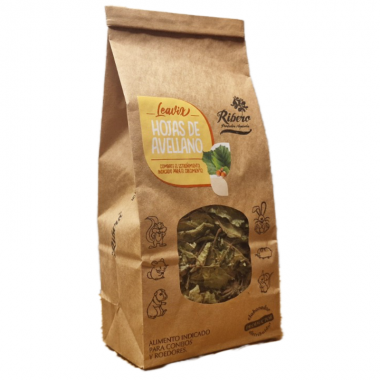 Hojas de Avellano