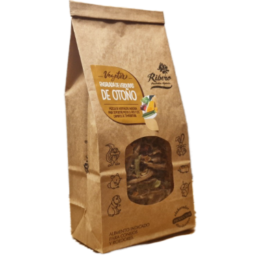 AUTUMN Vegetable Salad