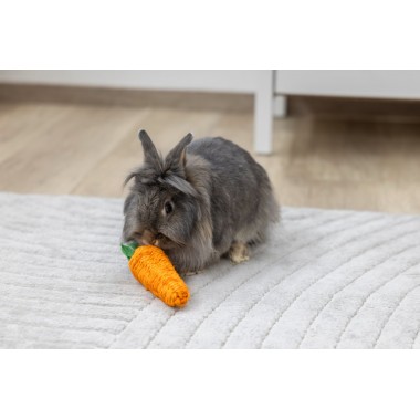 Zanahoria de Sisal para Conejos y Roedores – 18x5x5 cm