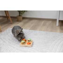 Juguete para Pensar y Aprender Veggie – 15x15x6 cm