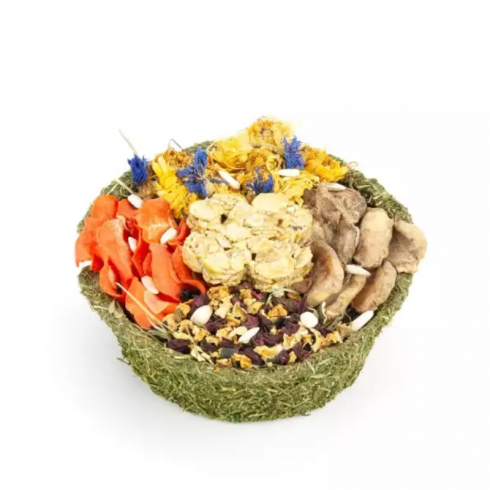 Pastel Colorido Ribero para y otros Roedores