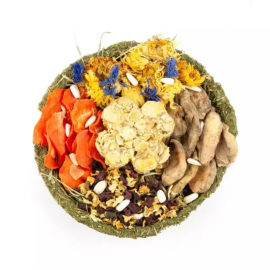 Pastel Colorido Ribero para y otros Roedores